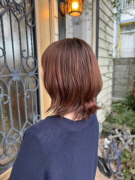 チョコレート(chocolate) ソフトウルフ