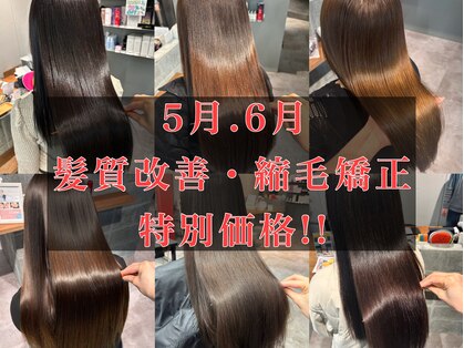 ポノ(po_no)の写真