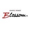 ブロッサム 東武練馬店(Blossom)のお店ロゴ