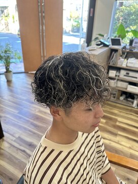 スウェル 千葉店(Swell) ハイライトプードルパーマ