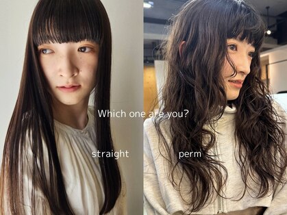 ハコ(haco)の写真