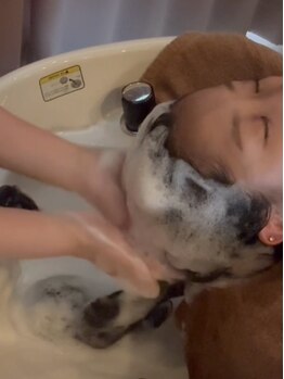 スクテ スイ(SQUTE Sui)の写真/【中崎町徒歩3分】ひとりだけの贅沢空間で【龍の手】という他店と違う初体験のヘッドスパをご体験下さい♪