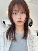 ミディアムレイヤー