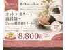 8/3～5【3日間限定】カット＋カラー＋頭浸浴＋2step超音波トリートメント