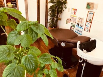 ニコ (Hair Salon Nico)の写真