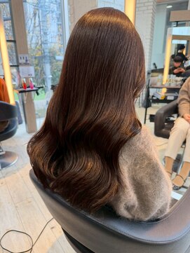 ダブル(W) レイヤーカット/チョコレートブラウン/艶髪