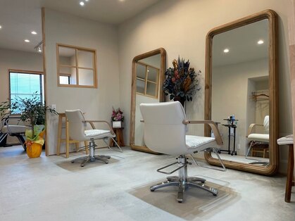 アカリ(acari)の写真