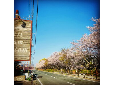 表の看板と桜並木。四季折々の景色を愉しませてくれますよ♪