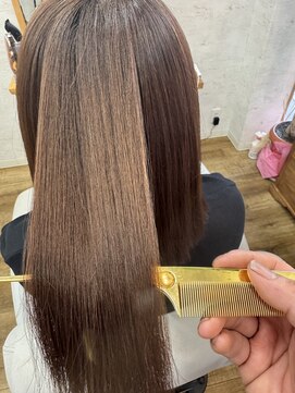 ガーベラ(gerbera) 平行ミディアム