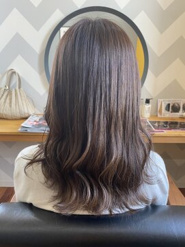 パディントン(Paddington) グレーパール♪ミックスアディクシー☆