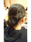 タイトシニオン