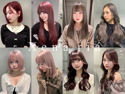 ジーナリア(Xena ria)の写真