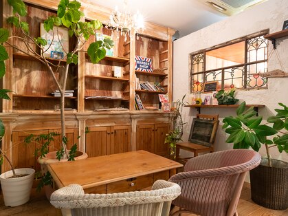 シュシュ (ChouChou)の写真