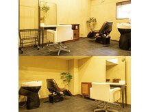 木洩れ日の雰囲気（店内）