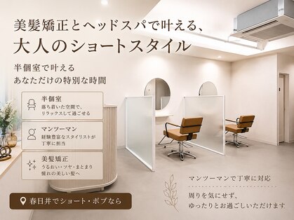 ノーラ(nolla)の写真