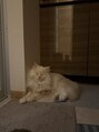 フィール アドバンス 袋井(feel advance)&nbsp;猫飼ってます！動物全般だいすきです！