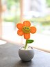 ＜エイジング毛にお悩みの方へ＞カット＋明るい白髪染め