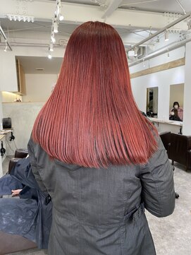 ソイ コンク 下北沢(soi conc) カーディナルレッド