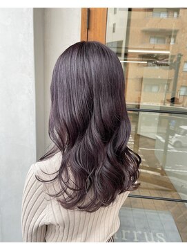 シーラス(cirrus) 【cirrus】ラベンダーブラウン20代/30代/40代/50代