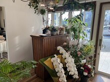 ルポ(repos)の雰囲気（観葉植物溢れる癒やしの空間となっております。植物も販売中～！）