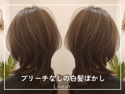 リリッシュ(Liliesh)の写真