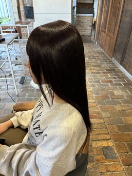 テントヘアー(tent hair) 赤味ブラウン