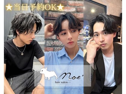 ノエ(Noe)の写真