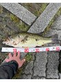 レム(Rem.) 様々な釣りをします。バスフィッシングでは最大記録53cmです