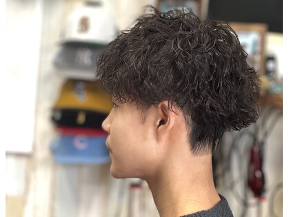 ハウオリ(hau'oli)の写真