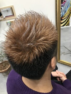 プルス ウルトラ(PLUS ULTRA) ダブルカラー