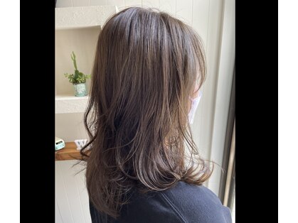 ポノ(Pono)の写真