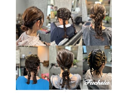 フーシャ(Fuchsia)の写真