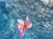 ルアナ(Luana)の雰囲気（plumeria　美しさ）