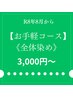 【お手軽】全体染めのみ　￥3000～