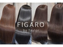 フィガロ バイ テイラー(FIGARO by Taylor)の雰囲気（史上最高の手触りへ。髪質改善の答えがFIGAROにあります）
