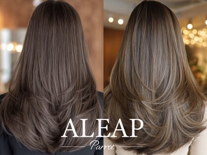 アリープパロット(ALEAP parrot)の写真