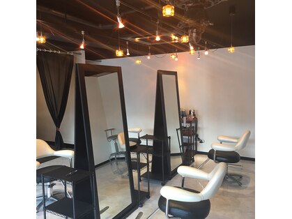 ベレニケ(Berenices)の写真