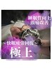 【当店No.1ヘッドスパ】カット+極上スパ￥10000→￥9000