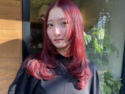 ボル(vol.)の写真