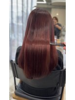 レス(Les.)&nbsp;カシスレッド/髪質補強ケアトリートメント