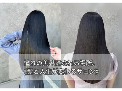 プラスイズム(PLUSISM)の写真