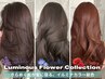【◆透明感&艶髪◆】カット+イルミナカラー(白髪染めOK) ¥10,300