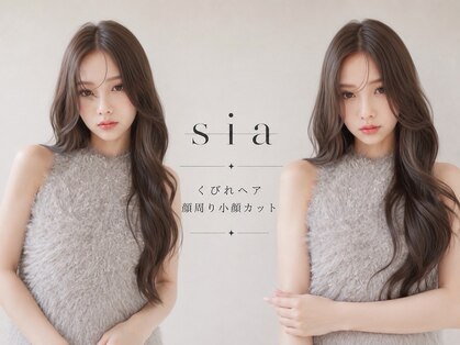 シア(sia)の写真
