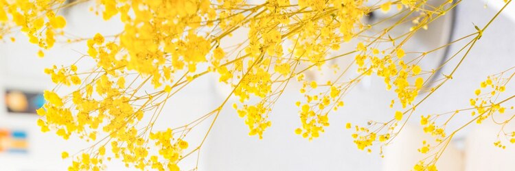 ロマーリ(LOMARLIE)のサロンヘッダー