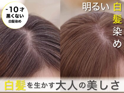 モイ(moy)の写真