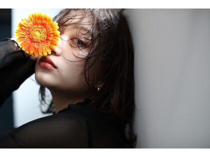 ニコ(nico...)の写真