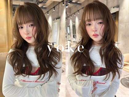 ヨーク(yoke)の写真