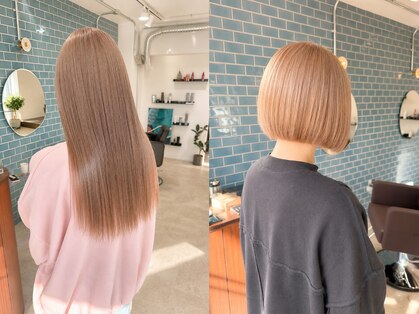 シカ(si:ca)の写真