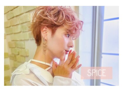 スパイス(SPICE)の写真