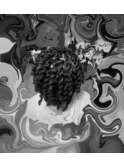 ドレッドヘアＡ